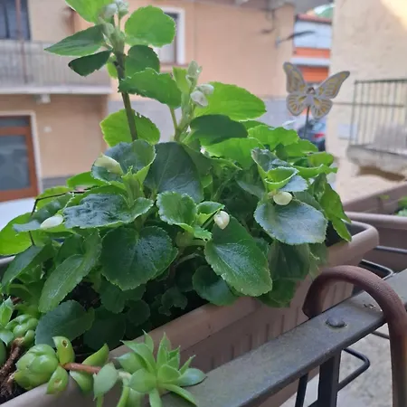 公寓 Nel Cuore Del Borgo *